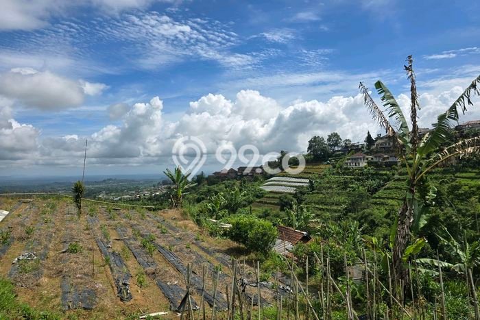Tanah Dijual di Tabanan Seluas 1800m2 Strategis Tanah Dijual di Tabanan Seluas 1800m2 Strategis