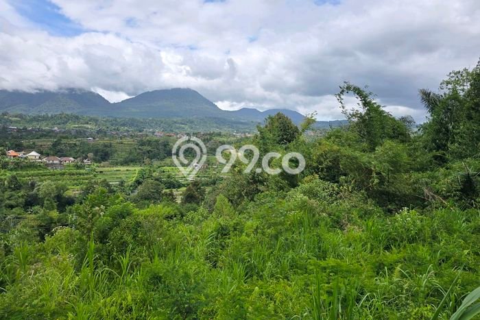 Tanah Kavling di Baturiti Dijual dengan Luas 1700m2 Tanah Kavling di Baturiti Dijual dengan Luas 1700m2