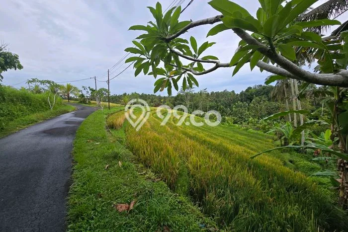 Tanah Area Berkembang di , Luas 4000m2m², Dekat ke Pusat Kota, Dekat Tabanan, Tabanan Tanah Area Berkembang di , Luas 4000m2m², Dekat ke Pusat Kota, Dekat Tabanan, Tabanan