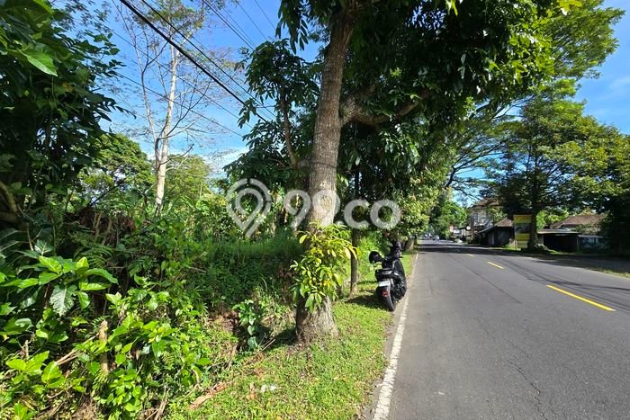 Tanah Dijual Lokasi Baturiti, Tabanan Luas 1000m2 Legalitas Aman Tanah Dijual Lokasi Baturiti, Tabanan Luas 1000m2 Legalitas Aman