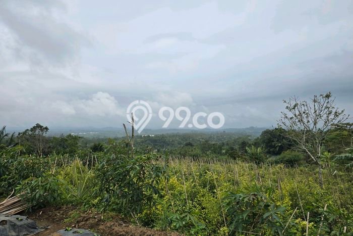 Tanah Kavling untuk Dijual di Baturiti Tabanan 1500m2 Tanah Kavling untuk Dijual di Baturiti Tabanan 1500m2