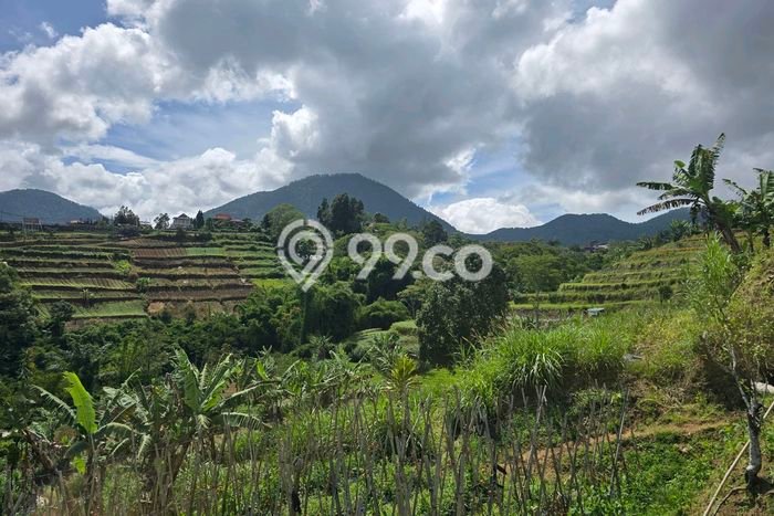 Tanah Dijual di Tabanan Seluas 1800m2 Strategis Tanah Dijual di Tabanan Seluas 1800m2 Strategis