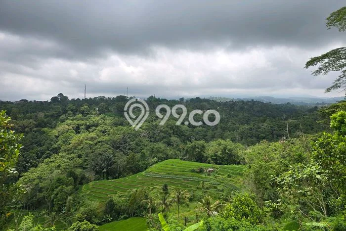 Jarang Ada! Tanah di Baturiti Punya Luas 2200m2 SHM Jarang Ada! Tanah di Baturiti Punya Luas 2200m2 SHM