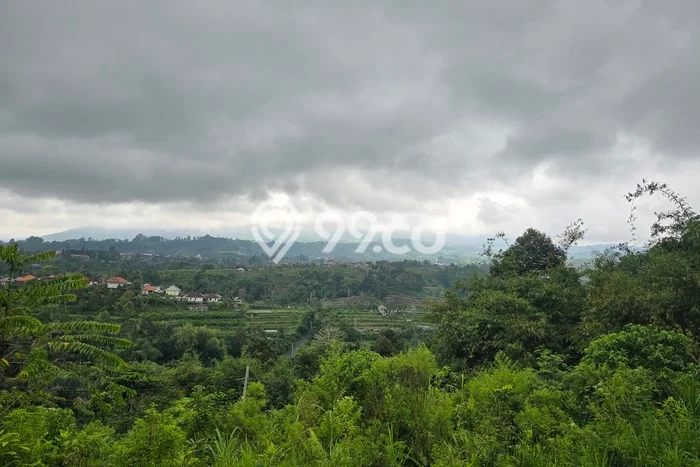 Lahan Kosong Dijual di Baturiti, Tabanan, Luas 1700m2 Area Strategis Lahan Kosong Dijual di Baturiti, Tabanan, Luas 1700m2 Area Strategis