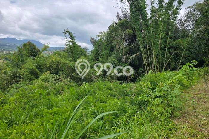 Tanah Kavling di Baturiti Dijual dengan Luas 1700m2 Tanah Kavling di Baturiti Dijual dengan Luas 1700m2