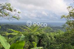 Tanah Dijual Area Strategis di Sanda Tabanan 18000m2 Tanah Dijual Area Strategis di Sanda Tabanan 18000m2