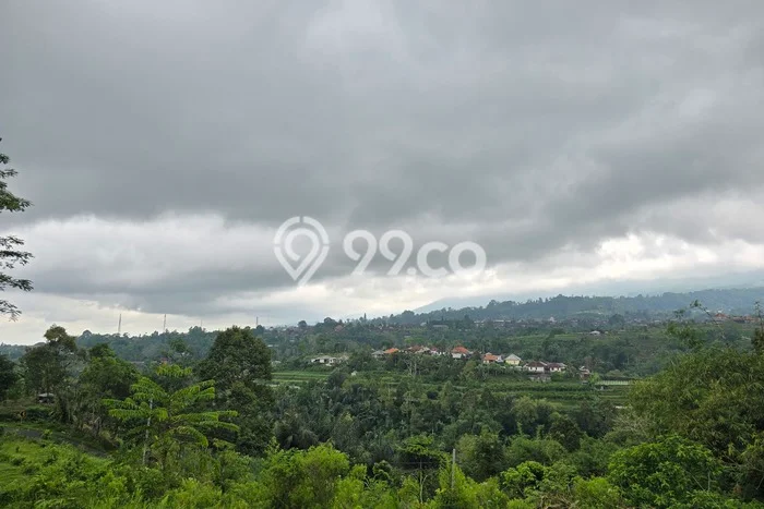 Lahan Kosong Dijual di Baturiti, Tabanan, Luas 1700m2 Area Strategis Lahan Kosong Dijual di Baturiti, Tabanan, Luas 1700m2 Area Strategis