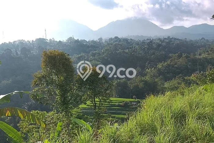 Jarang Ada! Tanah di Baturiti Punya Luas 2200m2 SHM Jarang Ada! Tanah di Baturiti Punya Luas 2200m2 SHM