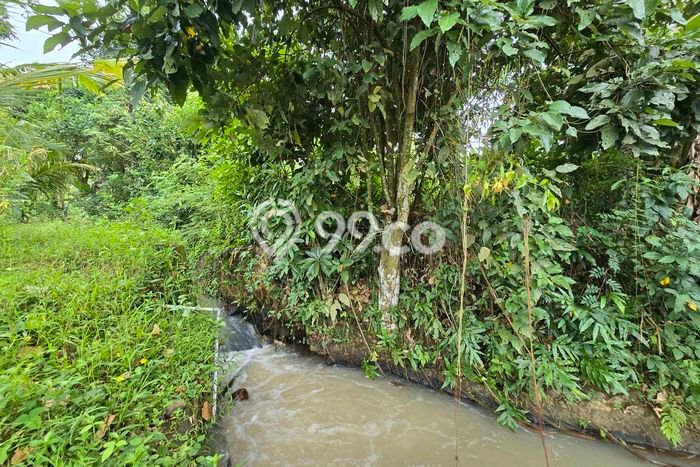 Tanah di Selemadeg, Tabanan Luas 1400m2 Dijual Segera Tanah di Selemadeg, Tabanan Luas 1400m2 Dijual Segera