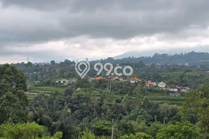 Lahan Kosong Dijual di Baturiti, Tabanan, Luas 1700m2 Area Strategis Lahan Kosong Dijual di Baturiti, Tabanan, Luas 1700m2 Area Strategis