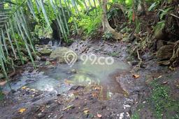 Tanah Kosong Dijual di Tabanan dengan Area 2400m2 Tanah Kosong Dijual di Tabanan dengan Area 2400m2
