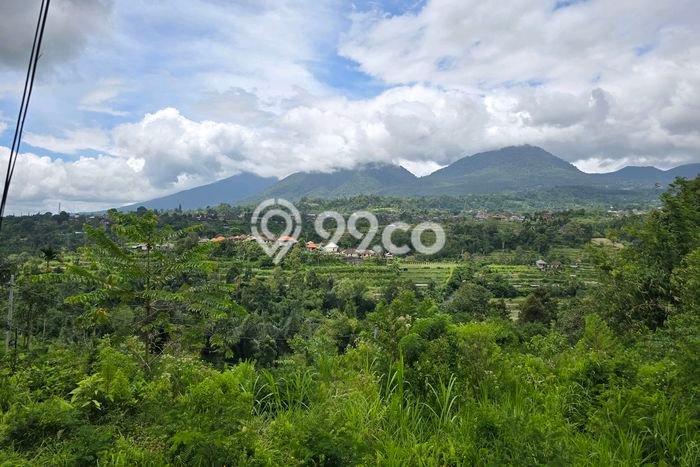 Tanah Kavling di Baturiti Dijual dengan Luas 1700m2 Tanah Kavling di Baturiti Dijual dengan Luas 1700m2
