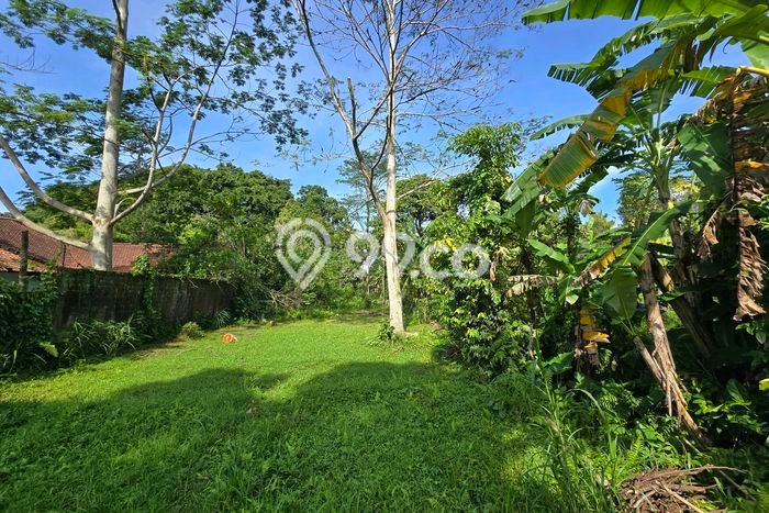 Tanah Dijual Lokasi Baturiti, Tabanan Luas 1000m2 Legalitas Aman Tanah Dijual Lokasi Baturiti, Tabanan Luas 1000m2 Legalitas Aman