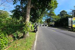 Tanah Dijual Lokasi Baturiti, Tabanan Luas 1000m2 Legalitas Aman Tanah Dijual Lokasi Baturiti, Tabanan Luas 1000m2 Legalitas Aman