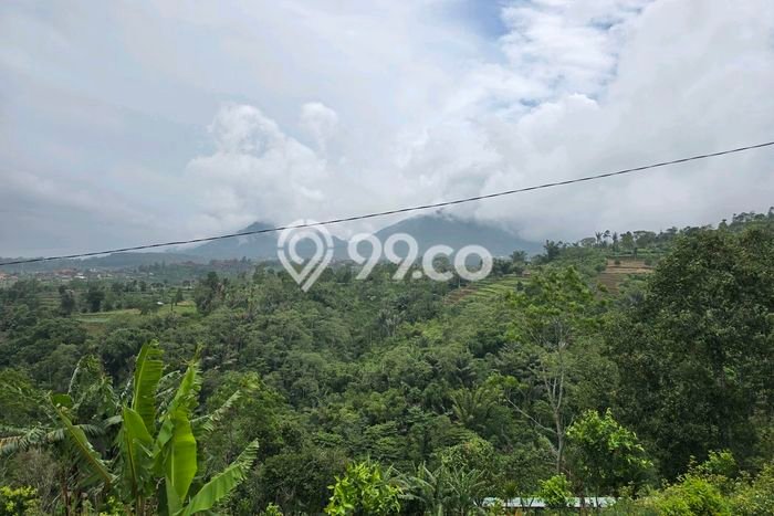 Tanah Kavling untuk Dijual di Baturiti Tabanan 1500m2 Tanah Kavling untuk Dijual di Baturiti Tabanan 1500m2