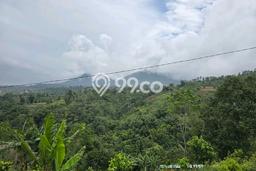 Tanah Kavling untuk Dijual di Baturiti Tabanan 1500m2 Tanah Kavling untuk Dijual di Baturiti Tabanan 1500m2