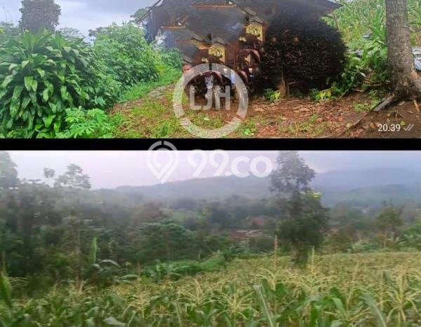 Tanah di Cireunghas, Sukabumi Luas 4513m2 Dijual Segera Tanah di Cireunghas, Sukabumi Luas 4513m2 Dijual Segera