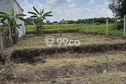 HARGA TERBAIK! Tanah Kawasan Ubud, Luas 188m2m², Akses Strategis, Cocok untuk Investasi HARGA TERBAIK! Tanah Kawasan Ubud, Luas 188m2m², Akses Strategis, Cocok untuk Investasi