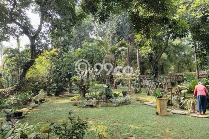 Kavling Tanah di Jagakarsa Dijual Luas 800m2 Legalitas SHM Kavling Tanah di Jagakarsa Dijual Luas 800m2 Legalitas SHM