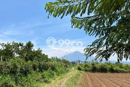 Tanah Kavling Dijual di Malang Kota, Malang dengan Luas Tanah 75m2 Tanah Kavling Dijual di Malang Kota, Malang dengan Luas Tanah 75m2