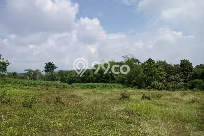 Untuk Dijual Tanah di Wagir Malang Luas 72m2 SHM Untuk Dijual Tanah di Wagir Malang Luas 72m2 SHM