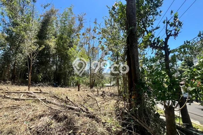Jual Rumah Favorit Siap Huni LB 140m2 di Dau, Malang Jual Rumah Favorit Siap Huni LB 140m2 di Dau, Malang