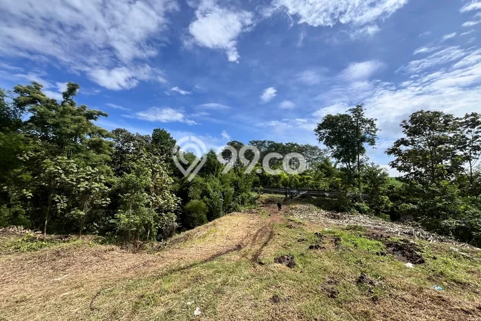 Lahan Investasi Lokasi Wagir Malang SHM Lahan Investasi Lokasi Wagir Malang SHM