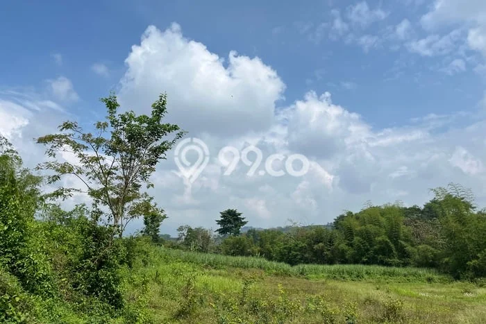 Untuk Dijual Tanah di Wagir Malang Luas 72m2 SHM Untuk Dijual Tanah di Wagir Malang Luas 72m2 SHM