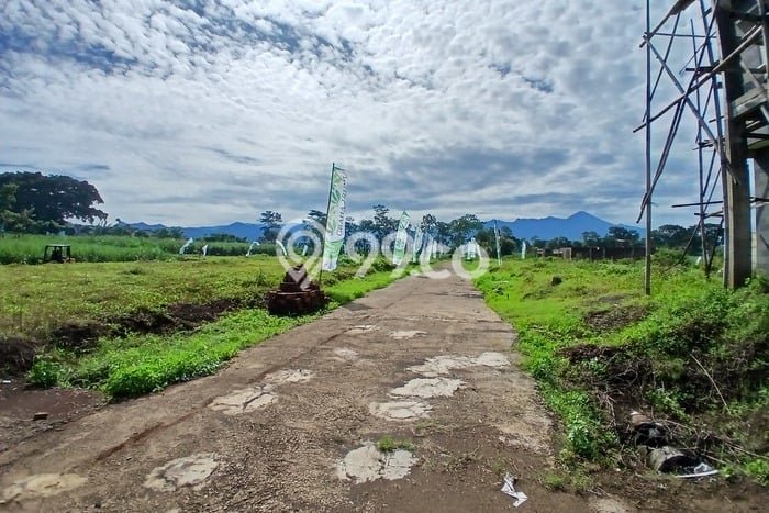 Lahan untuk Dijual di Pakis Malang Luas 60m2 Lahan untuk Dijual di Pakis Malang Luas 60m2