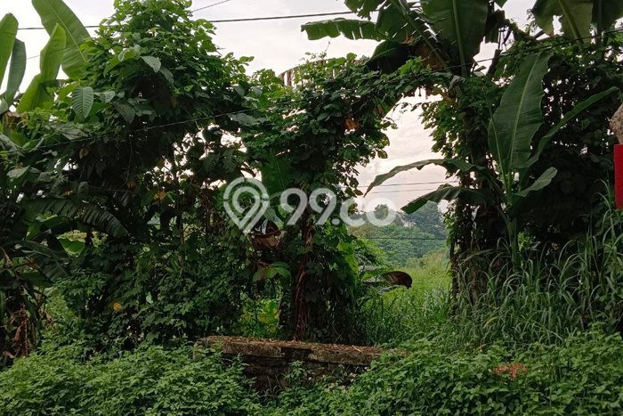 Tanah Kosong Dijual di Pasuruan dengan Area 9263m2 Tanah Kosong Dijual di Pasuruan dengan Area 9263m2