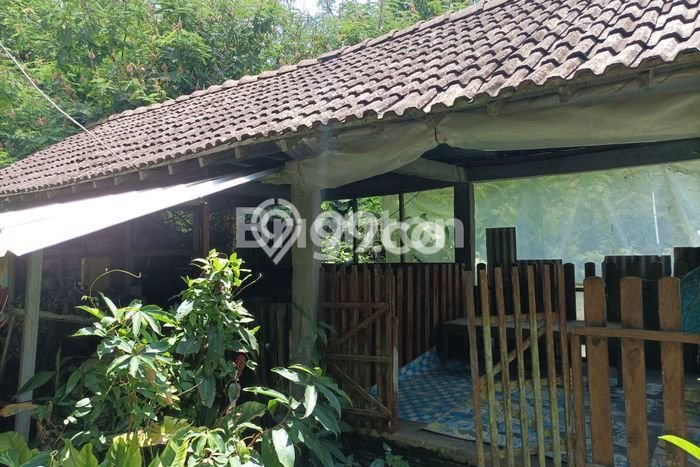 Tanah Dijual Lokasi Getasan Semarang SHM Tanah Dijual Lokasi Getasan Semarang SHM
