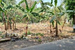 Lahan untuk Dijual Lokasi Cisauk, Tangerang Luas 4032m2 - Lahan untuk Dijual Lokasi Cisauk, Tangerang Luas 4032m2 -