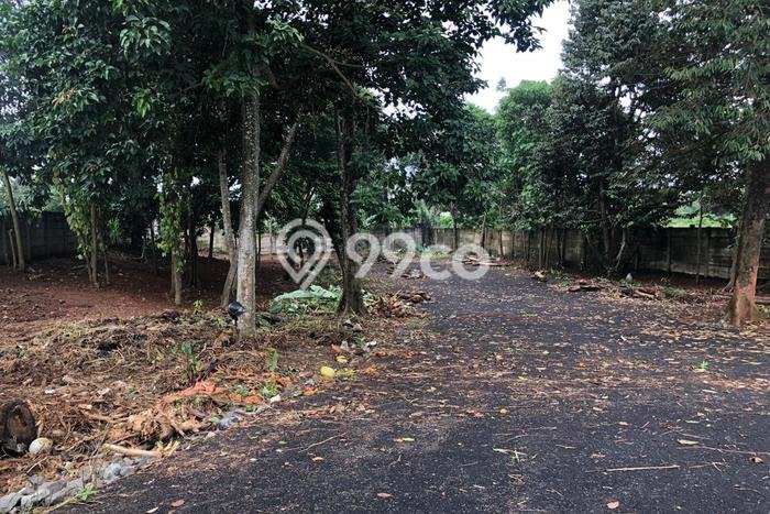 Disewakan Tanah di BSD Tangerang Seluas 2000m2 Disewakan Tanah di BSD Tangerang Seluas 2000m2