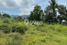 Dijual Tanah di Bogor, Luas 3754m2 SHM Dijual Tanah di Bogor, Luas 3754m2 SHM