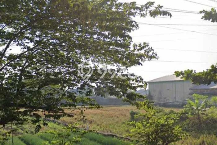 Kavling Tanah Lokasi Strategis di Masaran, Sragen Disewakan 3600m2 Kavling Tanah Lokasi Strategis di Masaran, Sragen Disewakan 3600m2