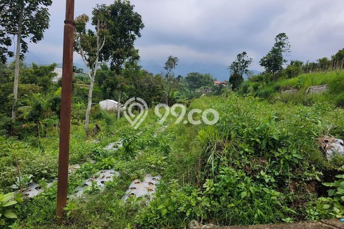 Tanah untuk Dijual di Junrejo Batu Luas 880m2 Tanah untuk Dijual di Junrejo Batu Luas 880m2