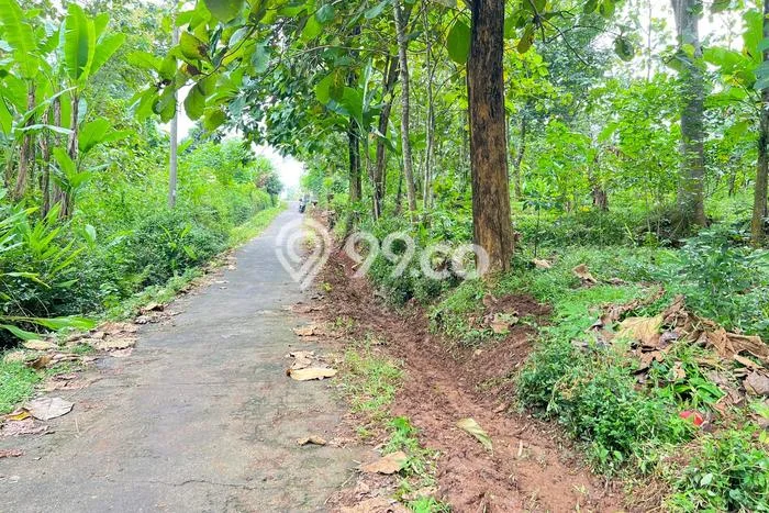 Lahan Kosong Dijual di Mojogedang, Karanganyar, Luas 1218m2 Area Strategis Lahan Kosong Dijual di Mojogedang, Karanganyar, Luas 1218m2 Area Strategis