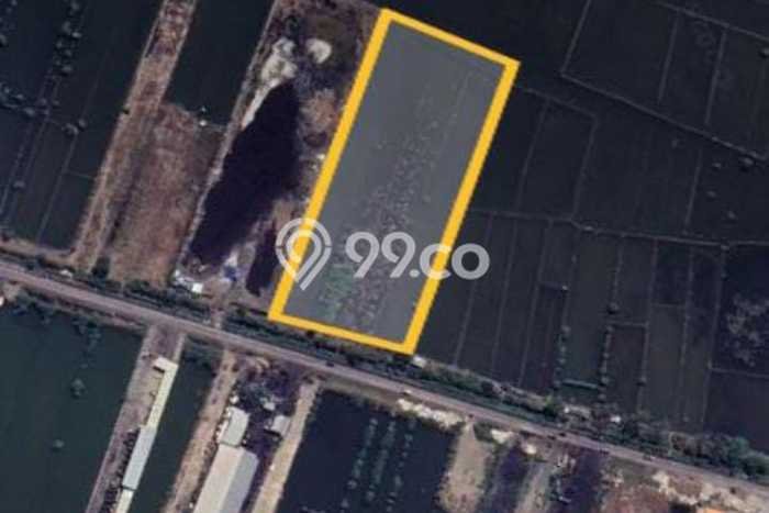 Tanah Dijual Lokasi Kaliwungu, Kendal Luas 20000m2 Legalitas Aman Tanah Dijual Lokasi Kaliwungu, Kendal Luas 20000m2 Legalitas Aman