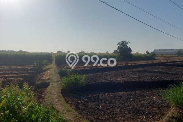 Tanah Kavling untuk Dijual di Sumberlawang Sragen 420000m2 Tanah Kavling untuk Dijual di Sumberlawang Sragen 420000m2