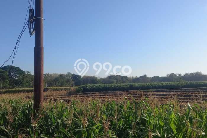 Tanah Kavling untuk Dijual di Sumberlawang Sragen 420000m2 Tanah Kavling untuk Dijual di Sumberlawang Sragen 420000m2