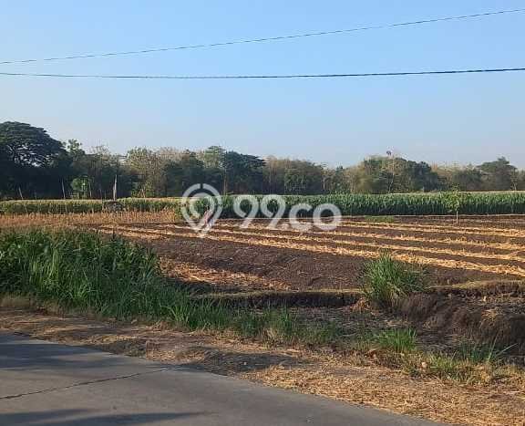 Tanah Kavling untuk Dijual di Sumberlawang Sragen 420000m2 Tanah Kavling untuk Dijual di Sumberlawang Sragen 420000m2