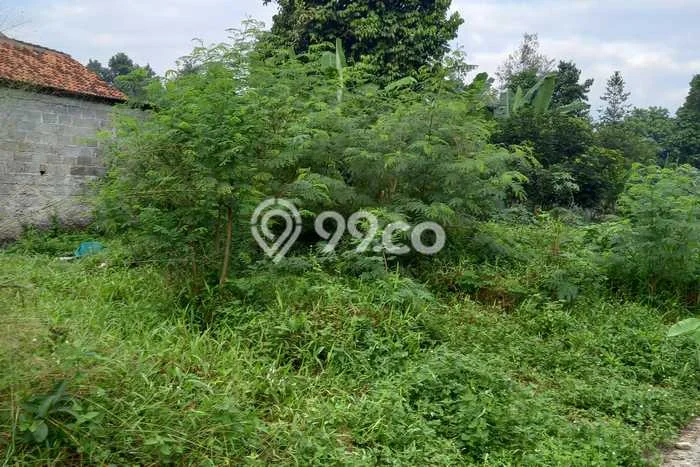 Kavling Tanah untuk Disewa di Ciater Lahan Luas 500m2 Kavling Tanah untuk Disewa di Ciater Lahan Luas 500m2