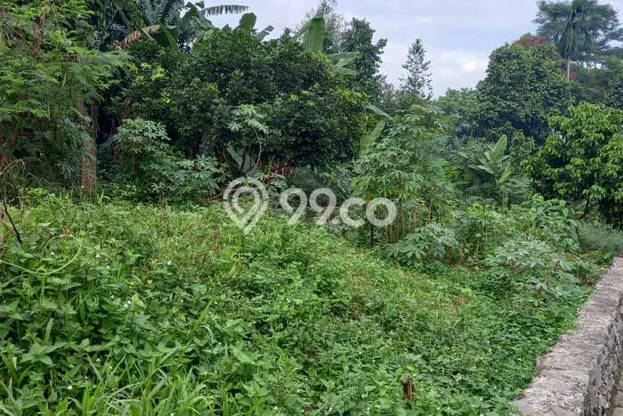 Kavling Tanah untuk Disewa di Ciater Lahan Luas 500m2 Kavling Tanah untuk Disewa di Ciater Lahan Luas 500m2
