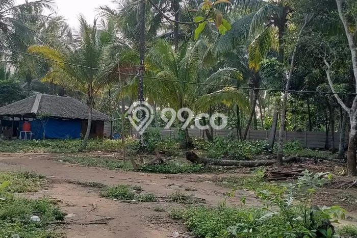 Lahan untuk Dijual di Mancak Serang Luas 50735m2 Lahan untuk Dijual di Mancak Serang Luas 50735m2