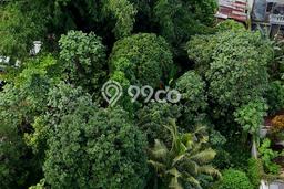 Untuk Dijual Tanah di Gunung Pati Semarang Luas 778m2 SHM Untuk Dijual Tanah di Gunung Pati Semarang Luas 778m2 SHM