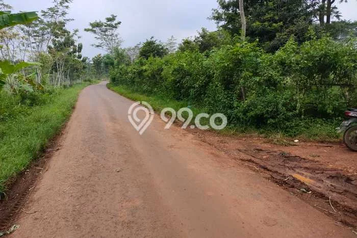 Dijual Tanah di Kandeman Batang Luas 11000m2 SHM Dijual Tanah di Kandeman Batang Luas 11000m2 SHM