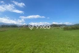 Lahan Kosong Dijual di Ambarawa, Ambarawa, Luas 3310m2 Area Strategis Lahan Kosong Dijual di Ambarawa, Ambarawa, Luas 3310m2 Area Strategis