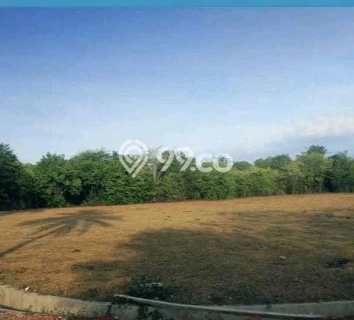Tanah Dijual Lokasi Karimunjawa, Jepara Luas 63850m2 Legalitas Aman Tanah Dijual Lokasi Karimunjawa, Jepara Luas 63850m2 Legalitas Aman