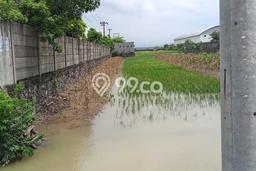 Tanah Kavling untuk Dijual di Mranggen Demak 3175m2 Tanah Kavling untuk Dijual di Mranggen Demak 3175m2