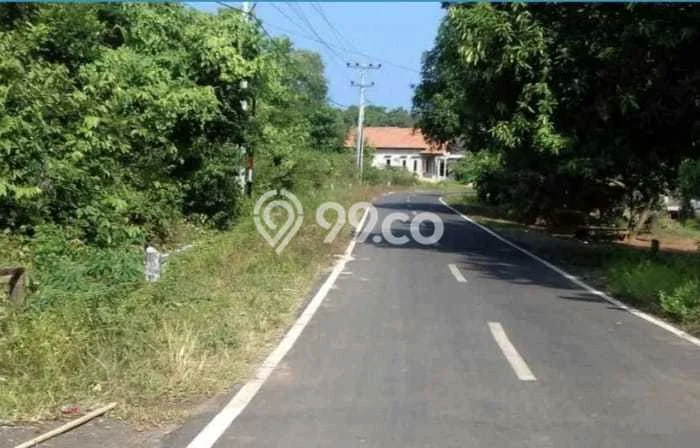 Tanah Dijual Lokasi Karimunjawa, Jepara Luas 63850m2 Legalitas Aman Tanah Dijual Lokasi Karimunjawa, Jepara Luas 63850m2 Legalitas Aman